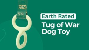 chew toys for dogs