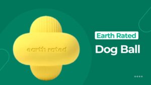 chew toys for dogs