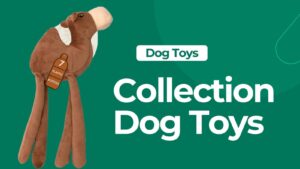 chew toys for dogs