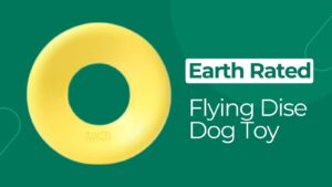 chew toys for dogs