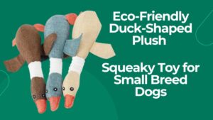 chew toys for dogs